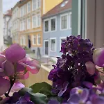 Apartman Centre, Fantastic, New *