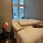 Apartman Centre, Fantastic, New Bergen