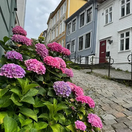 Apartment Centre, Fantastic, New