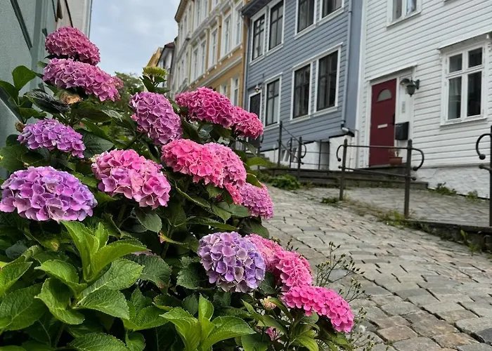 아파트 Centre, Fantastic, New